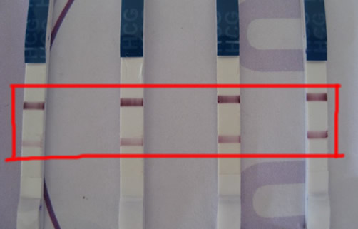 强阳后一直弱阳是怀孕的前兆吗 具体怎么看? 强阳后一直弱阳是怀孕的前兆吗 具体怎么看?